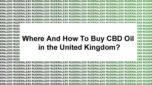 Where And How To Buy CBD Oil in the United Kingdom?