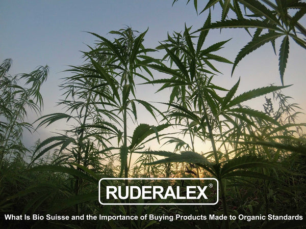 What is Bio Suisse and The Importance Of Buying Organically Farmed CBD Hemp Products
