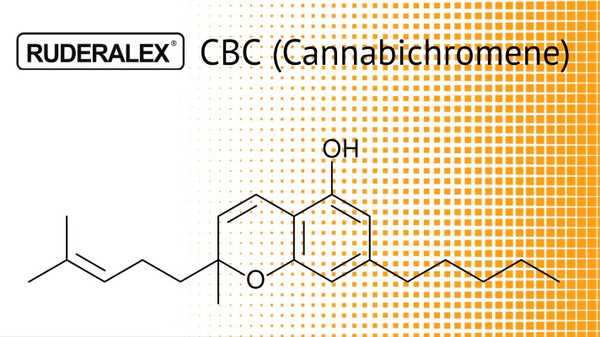 what is cbc Cannabichromene