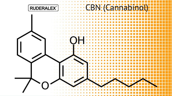 What Is The Cannabinoid CBN (Cannabinol) And What Benefits Does Research Show?